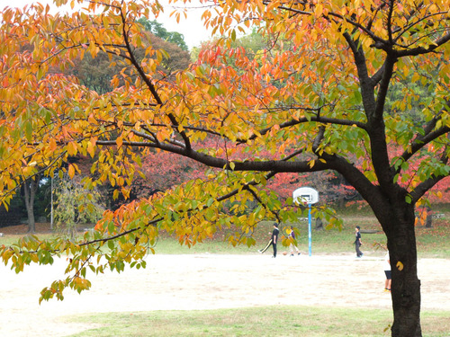 樟葉東公園ヒデキさん