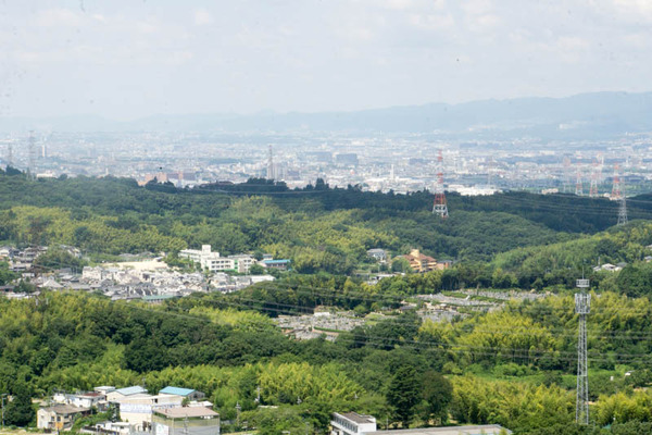 穂谷-1807233