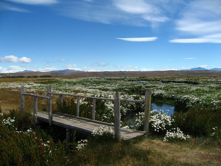 20110302アルゼンチン(カラファテ)