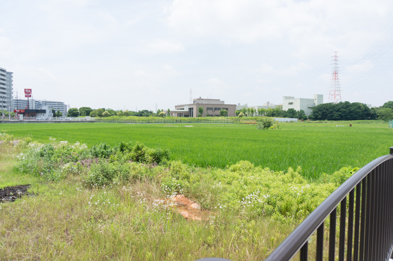 バステール牧野-8