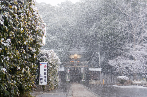 さだ神社-3