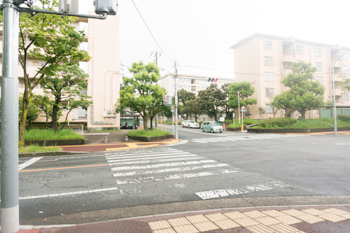 フロッシュ-150817113