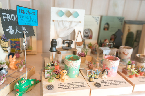 フロッシュ-15081718