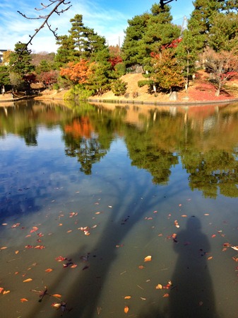 121128_kyoko_zzz_02