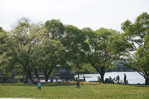 山田池公園-2