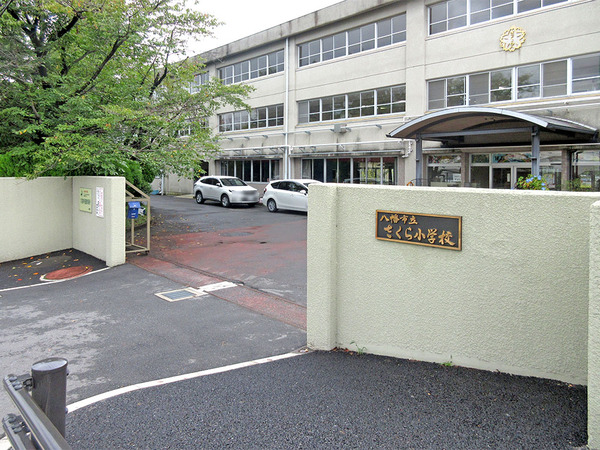 さくら小学校