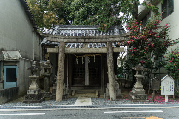 朝原神社-15122501