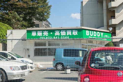 BUDDY-1410089