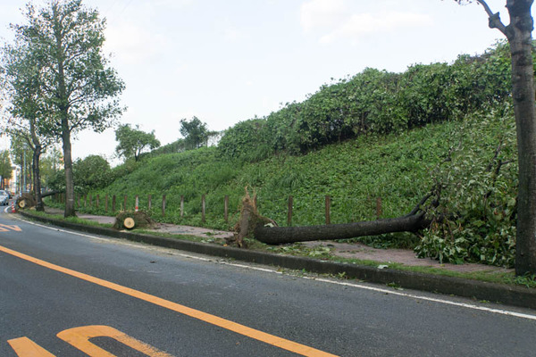 台風21号3-18090530