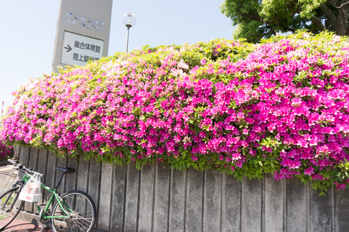 20150505-9