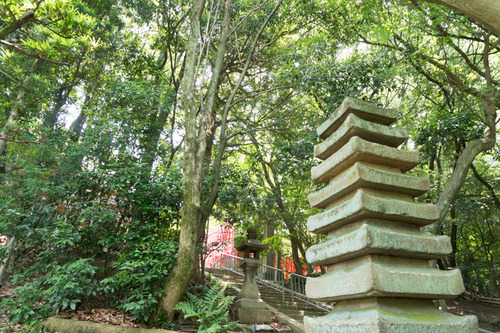 万年寺山