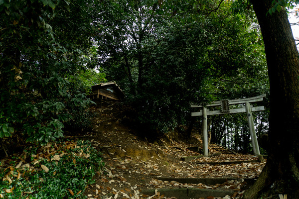 百済王神社大垣内-15122401