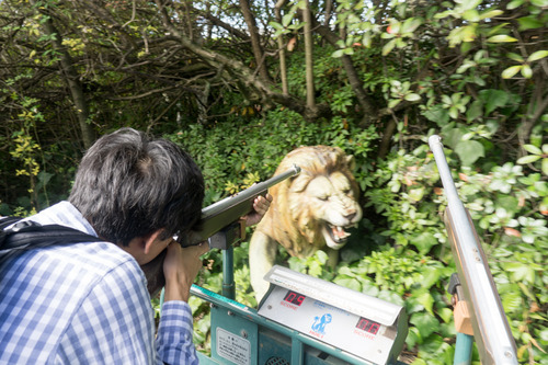 アドベンチャー サファリ-12
