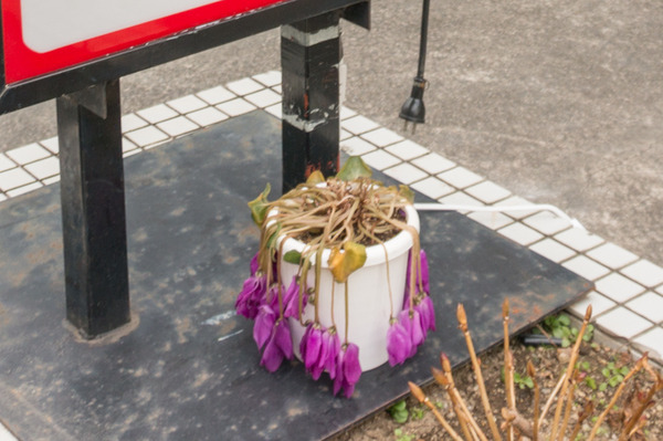 牧野ワイン後編-14