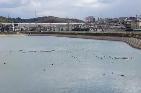 120213DSC04392