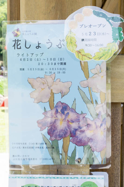 山田池公園-1805253