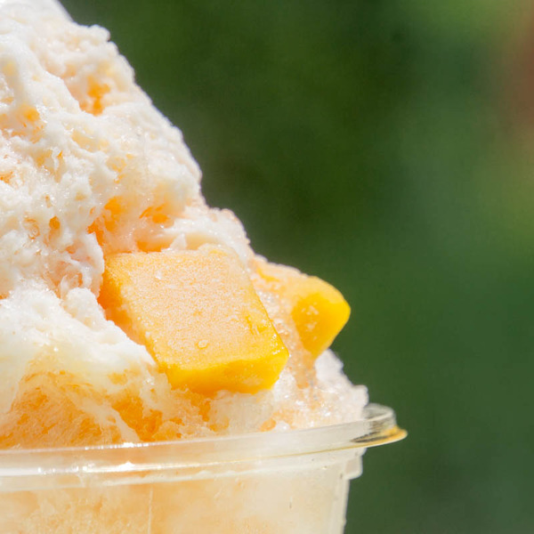 カリオン-1708103