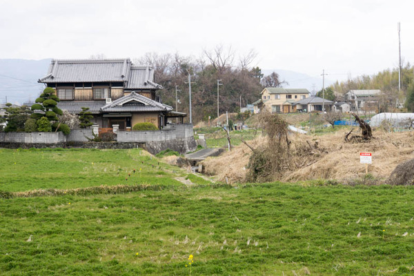 長尾杉線-1903146