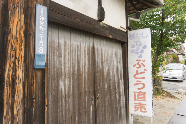 東倉治-119