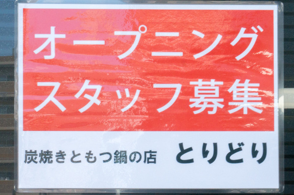 20170811とりどり-4