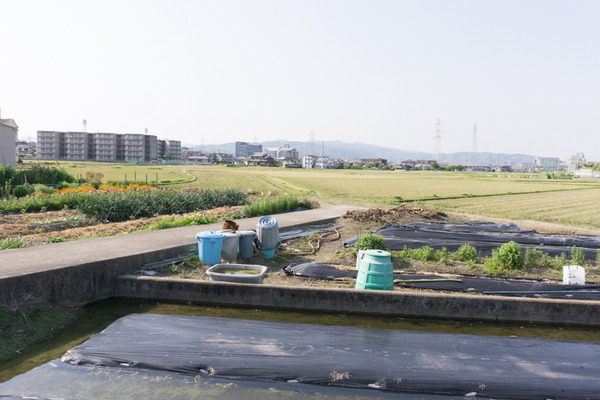 20160430mihamahome-27