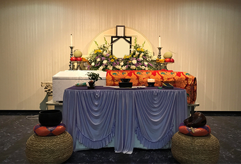 main_image-1