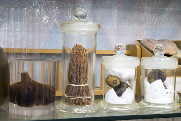 光善寺三和薬局-41