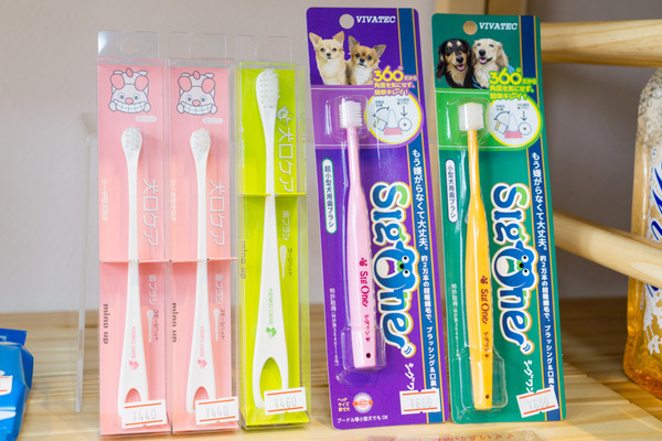 ペットコロニー香里ケ丘店 ドッグサロン-34