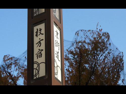 ヒラカタギフトセレクション動画-5