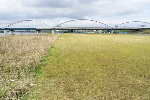 淀川河川公園-15041109