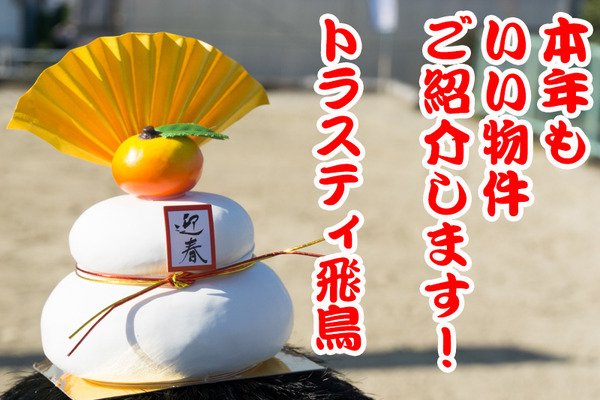 トラスティ飛鳥-男山長沢-くずはエリア-22