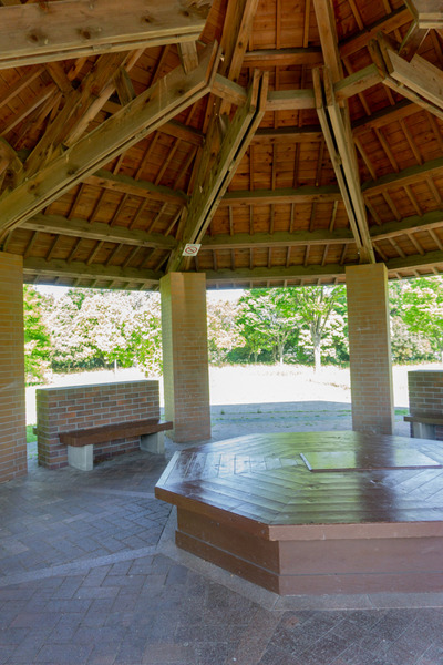 山田池公園ナーガ-23