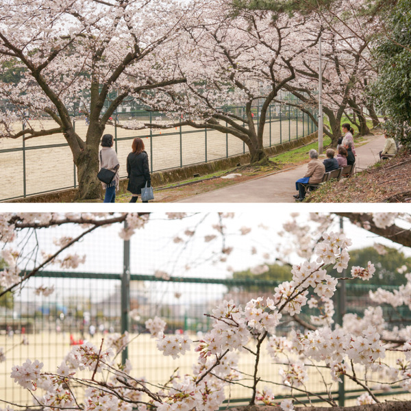 香里ケ丘中央公園
