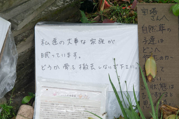宝塔-1705103