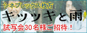 キツツキと雨