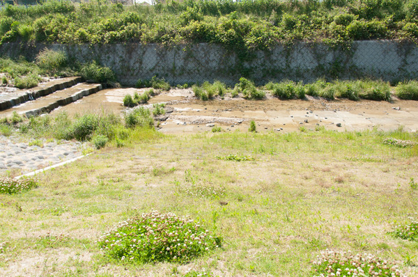 山田池公園-7