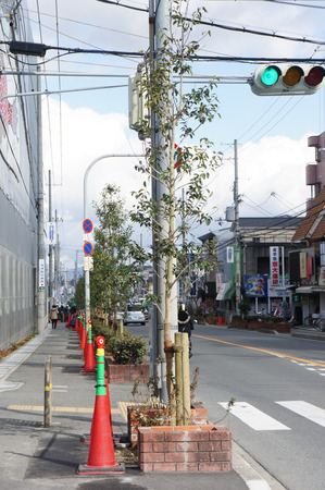 120219DSC05007