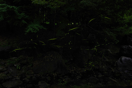 20110616IMGP9574s