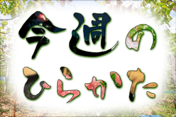 今週のひらかた
