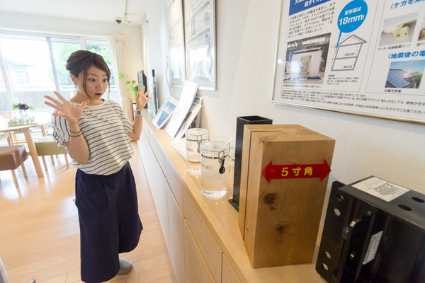 毎日ハウジング-210