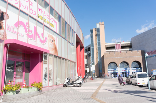 六地蔵ピュアハート行き方-62