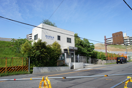 20110601DSC00332