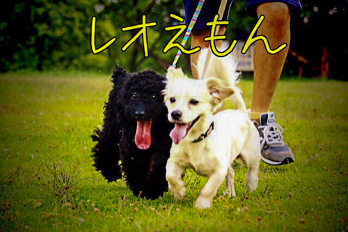 ゴエモン・レオ-3