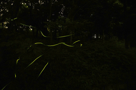 resize20120618195813a