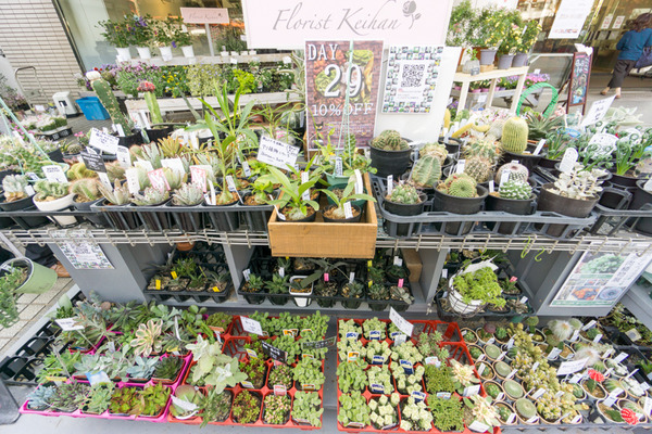 京阪百貨店-65