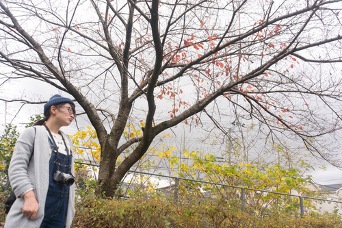 野村工務店-15112468