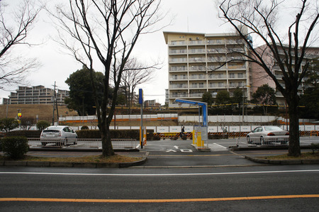 120225DSC05294