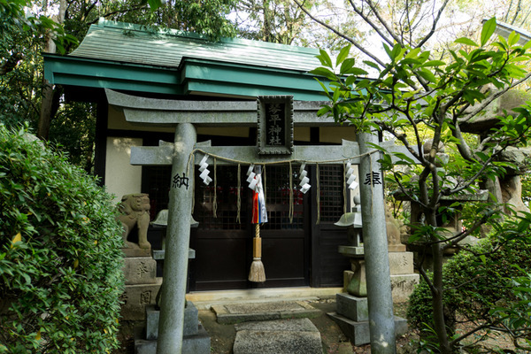 意賀美神社-15122402