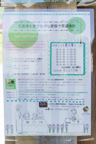 山田池公園-1805254