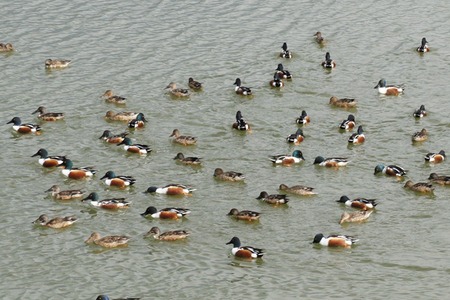120213DSC04401a